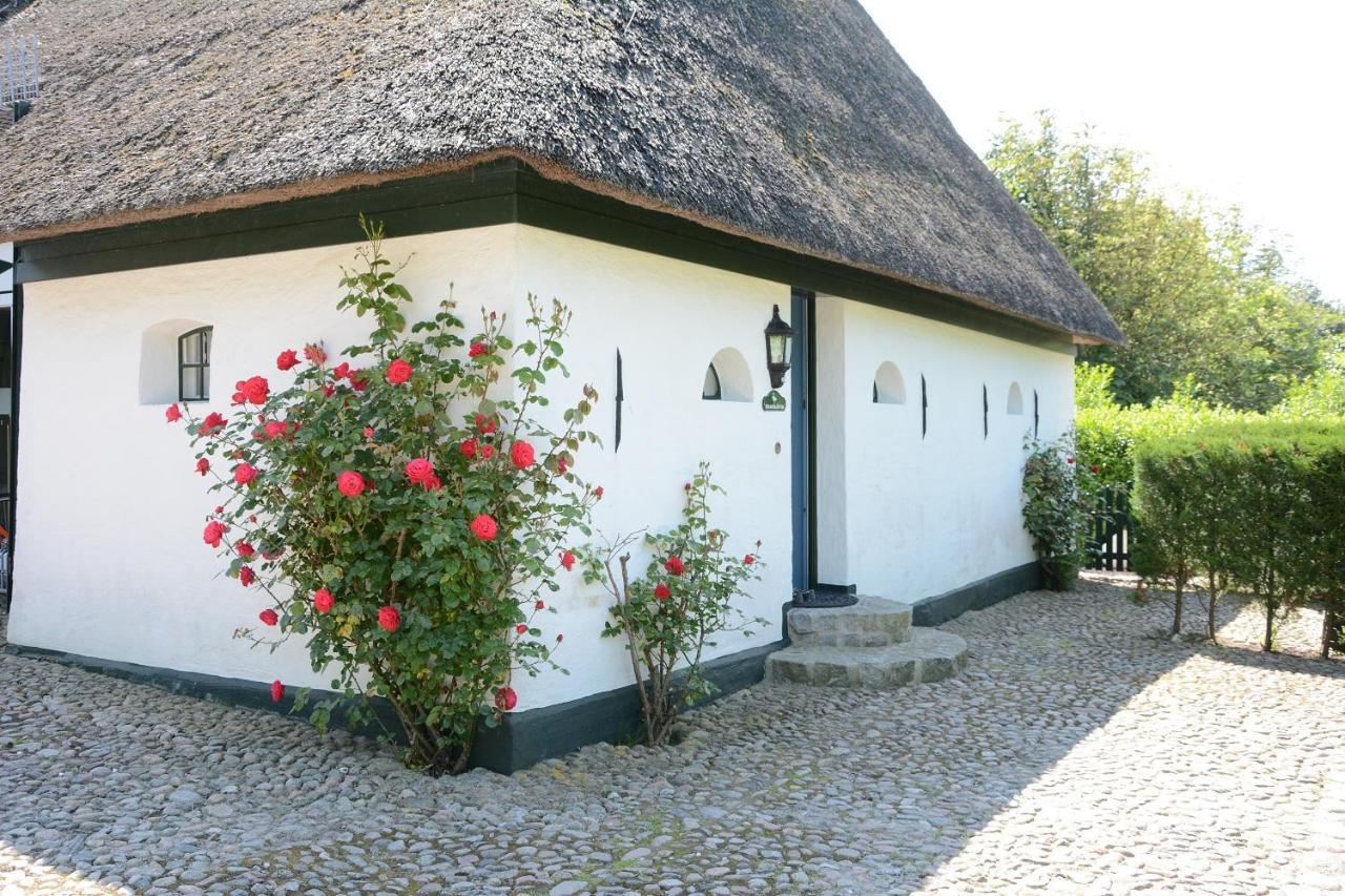 Foehrienhaus Villa Midlum  Exteriör bild